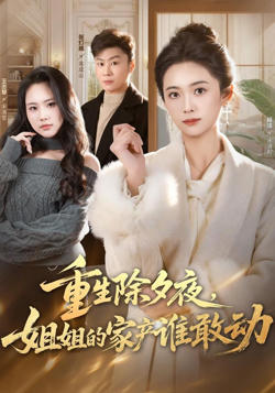 重生除夕夜，姐姐的家产谁敢动高清播放