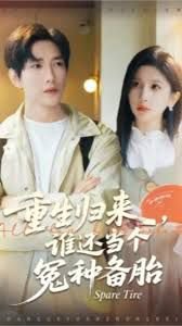 重生归来谁还当个冤种备胎高清播放