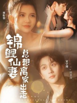锦鲤仙妻总想离家出走高清播放