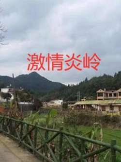 激情炎岭高清播放