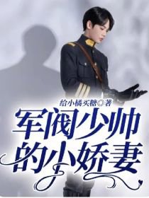 少帅的小娇妻高清播放