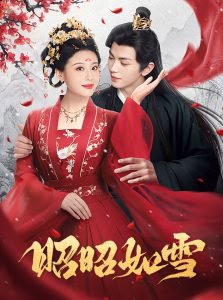 昭昭如雪高清播放