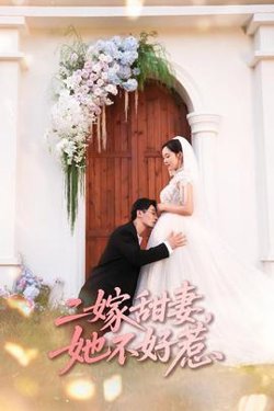 二嫁甜妻她不好惹高清播放