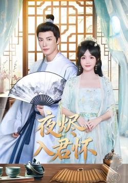 夜烬入君怀在线观看