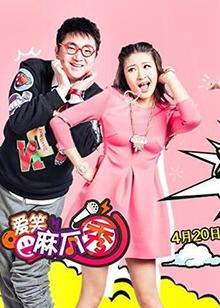 爱笑麻瓜秀高清播放