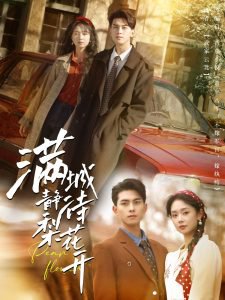 满城静待梨花开在线观看