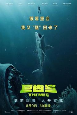 巨齿鲨（国语版）高清播放