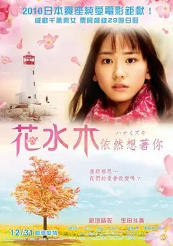 花水木【影视解说】高清播放
