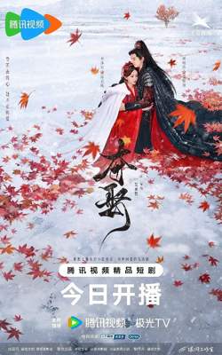 夺娶  2025高清播放