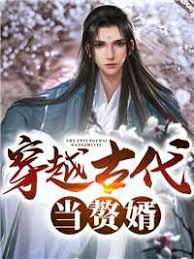 穿越古代当赘婿在线观看
