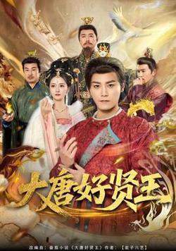 大唐好贤王高清播放