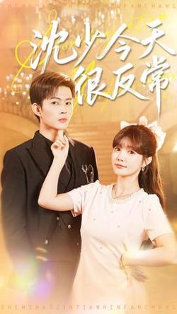 沈少今天很反常高清播放