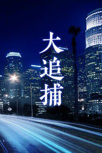 大追捕高清播放