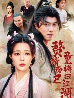 赘婿而已竟横扫江湖高清播放
