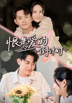 恨是爱的倒计时高清播放