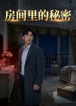 房间里的秘密高清播放