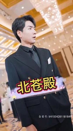 北苍殿高清播放