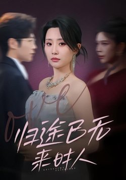 归途已无来时人高清播放