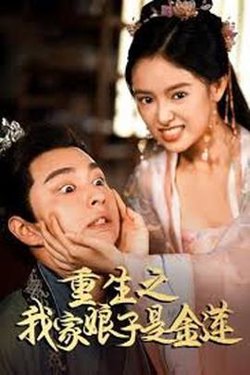 重生之我家娘子是金莲高清播放