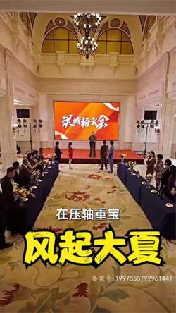 风起大夏在线观看