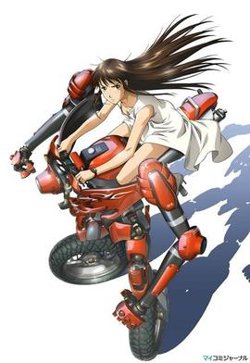背骑少女高清播放