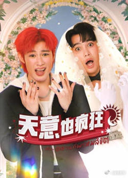 天意也疯狂在线观看