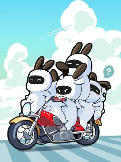 兔克兔克高清播放