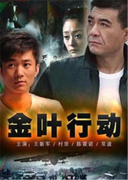 金叶行动在线观看