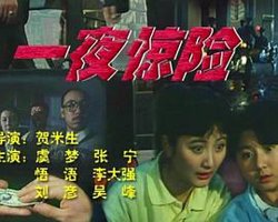 一夜惊险高清播放
