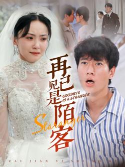 再见已是陌客（归来的星光）高清播放