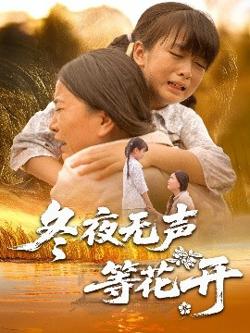 冬夜无声等花开高清播放