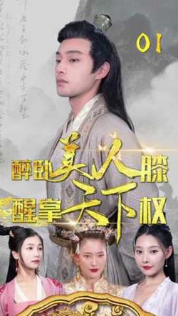 醉卧美人膝，醒掌天下权高清播放