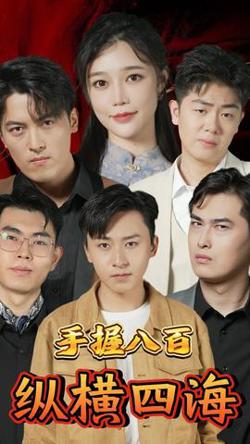 手握八百纵横四海高清播放