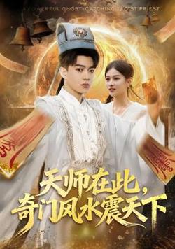 天师在此，奇门风水震天下高清播放