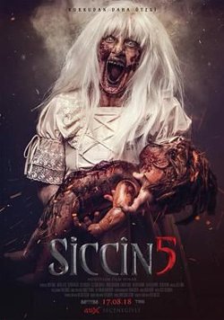 西辛5高清播放