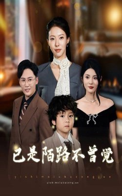 已是陌路不曾觉高清播放