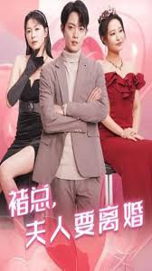 褚总夫人要离婚高清播放