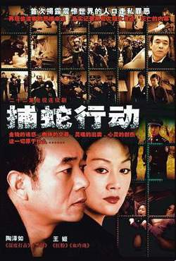 捕蛇行动高清播放