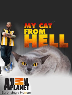 家有恶猫 第四季在线观看