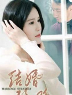结婚攻略在线观看