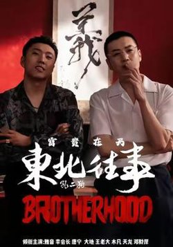 东北往事之富贵在天高清播放
