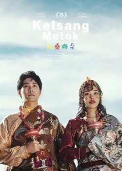 格桑梅朵高清播放