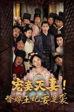 宠妾灭妻！替嫁王妃要逆袭高清播放