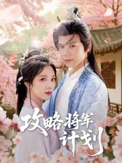 攻略将军计划高清播放