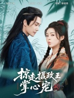 掠走摄政王掌心宠高清播放