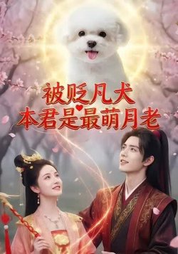 被贬凡犬，本君是最萌月老在线观看