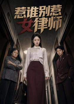 惹谁别惹女律师