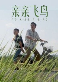 亲亲飞鸟高清播放