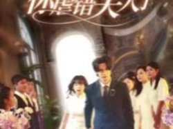 陆总住手吧，你虐错夫人了高清播放