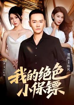 我的绝色小保镖